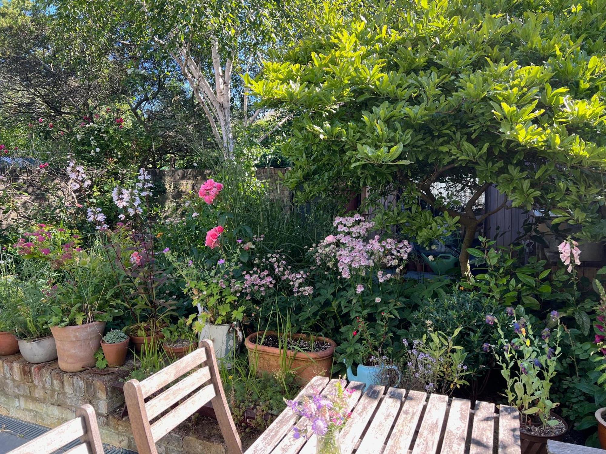Bright And Elegant 2 Bedroom Flat, Near Notting Hill London Bagian luar foto